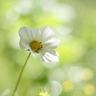 5月6日早上睡醒的我